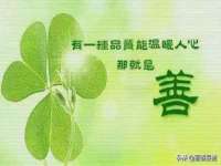 山东沐泽商贸有限公司