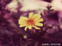 山东沐泽商贸有限公司