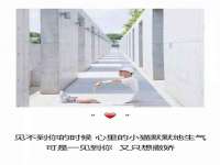 山东沐泽商贸有限公司