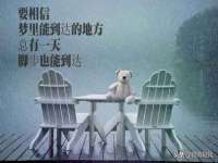 山东沐泽商贸有限公司