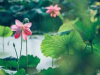 山东沐泽商贸有限公司