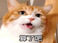 山东沐泽商贸有限公司