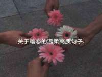 山东沐泽商贸有限公司