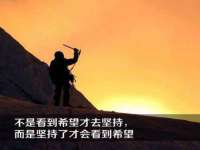 山东沐泽商贸有限公司
