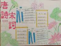 山东沐泽商贸有限公司