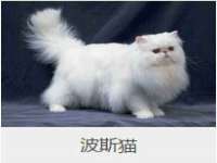 山东沐泽商贸有限公司