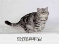 山东沐泽商贸有限公司