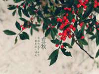 山东沐泽商贸有限公司