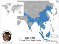 山东沐泽商贸有限公司