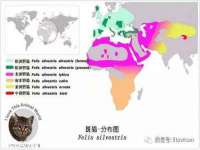 山东沐泽商贸有限公司