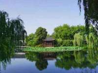 山东沐泽商贸有限公司