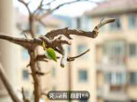 山东沐泽商贸有限公司