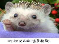 山东沐泽商贸有限公司