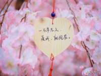 山东沐泽商贸有限公司