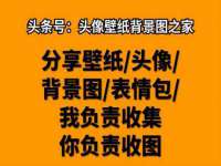 山东沐泽商贸有限公司