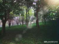 山东沐泽商贸有限公司