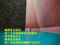 山东沐泽商贸有限公司