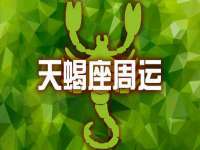 山东沐泽商贸有限公司