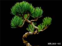 山东沐泽商贸有限公司