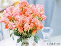 山东沐泽商贸有限公司